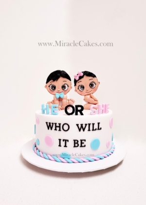 He or She Who will it be Gender reveling cake 