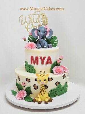 Wild one cake